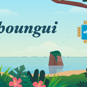 Choungui Unlimited - 10 days