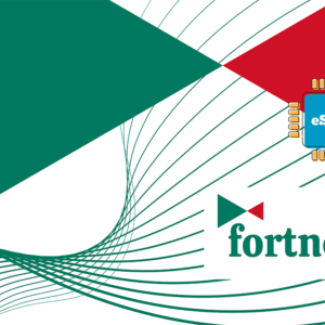 Fortnet 1 GB - 7 days